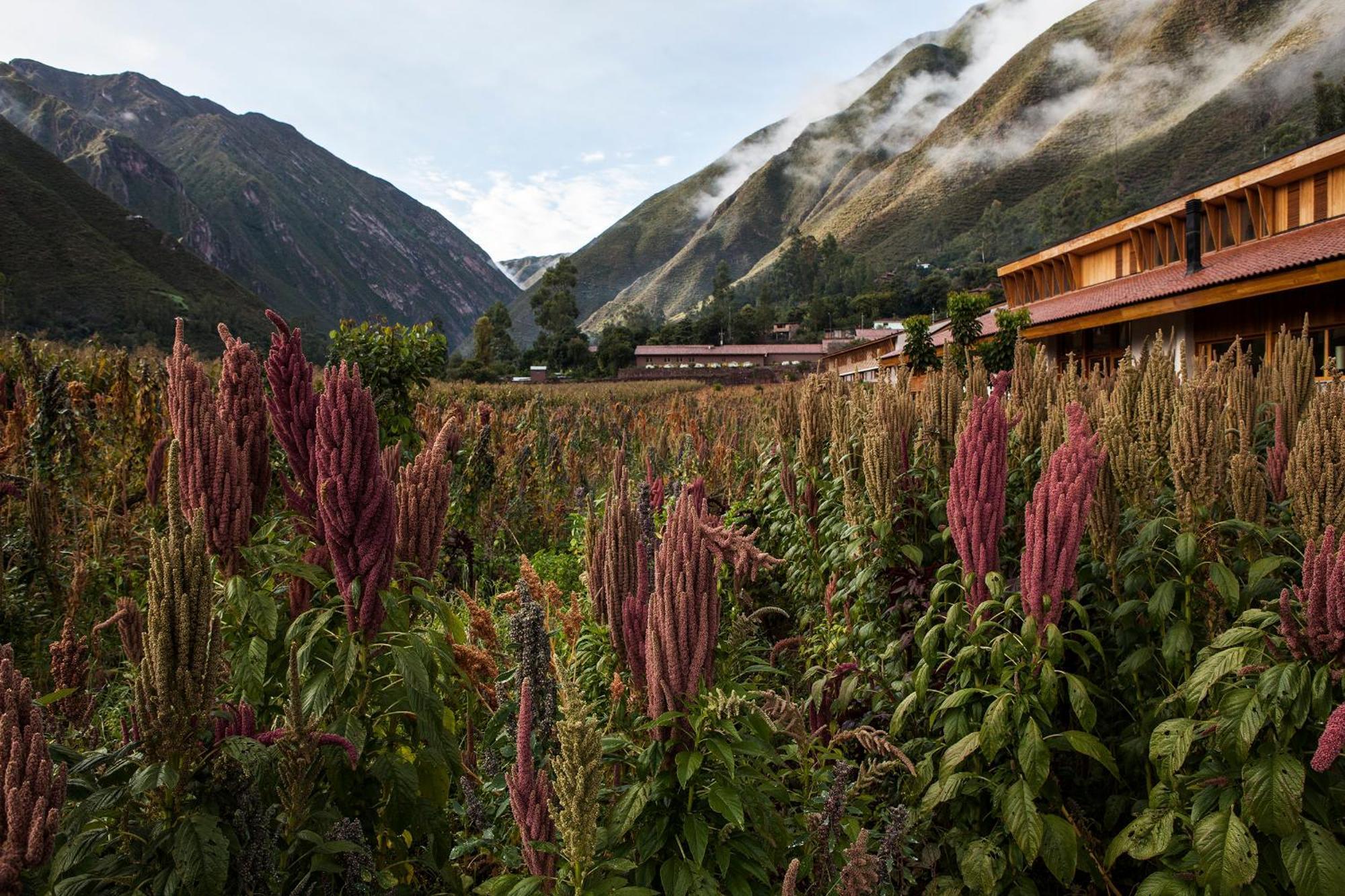 Explora Valle Sagrado Urubamba Exterior photo